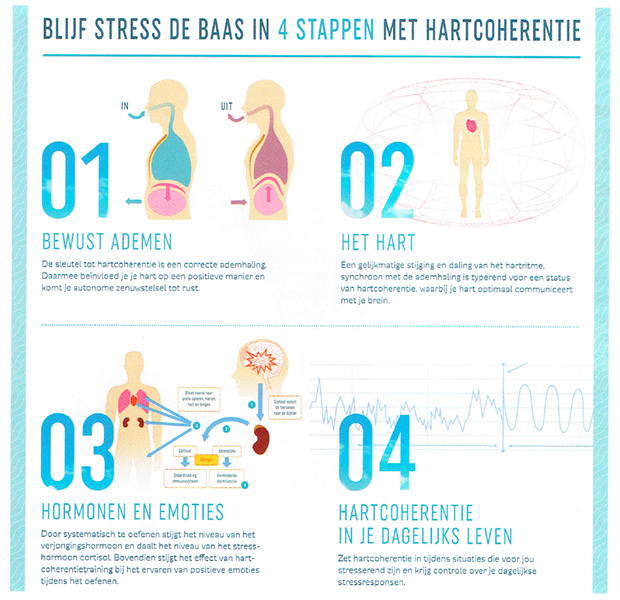 B in Motion  Boezinge